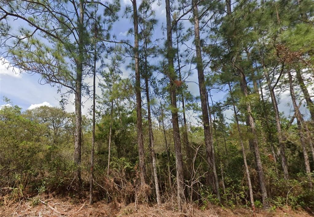 待售: $55,000 (2.34 acres)