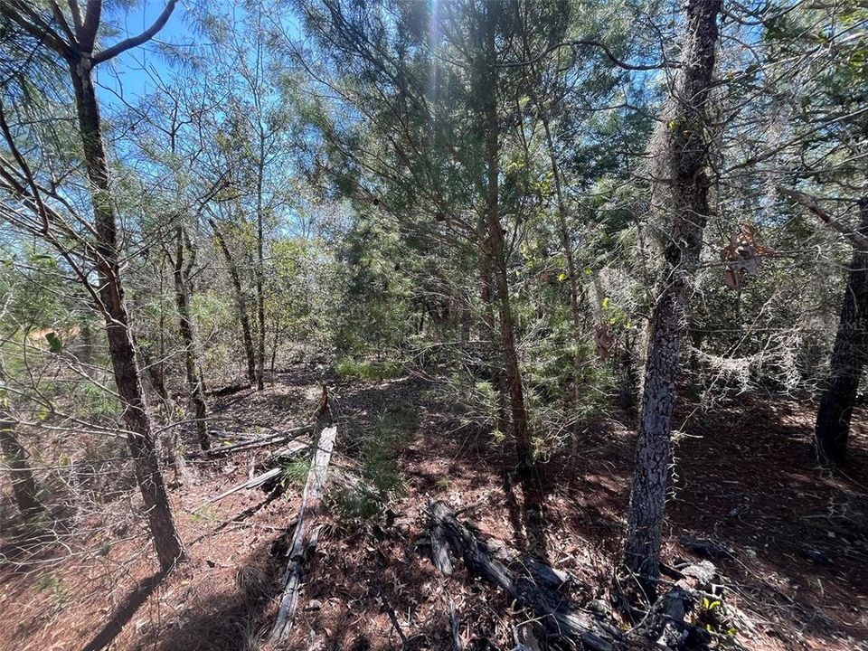 На продажу: $24,800 (1.08 acres)