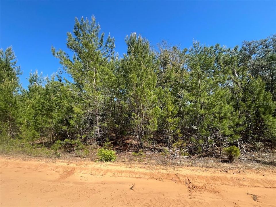 На продажу: $24,800 (1.08 acres)