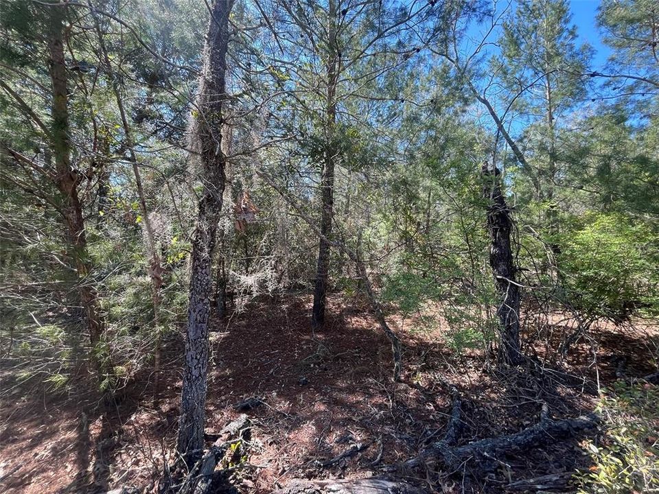 На продажу: $24,800 (1.08 acres)