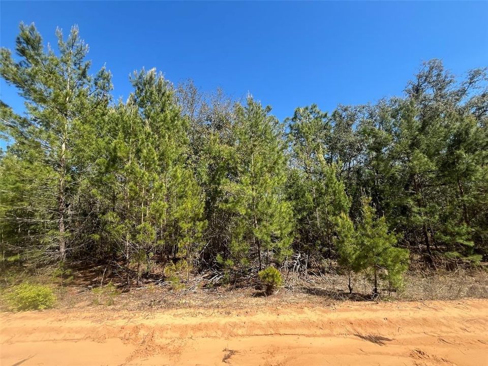 На продажу: $24,800 (1.08 acres)