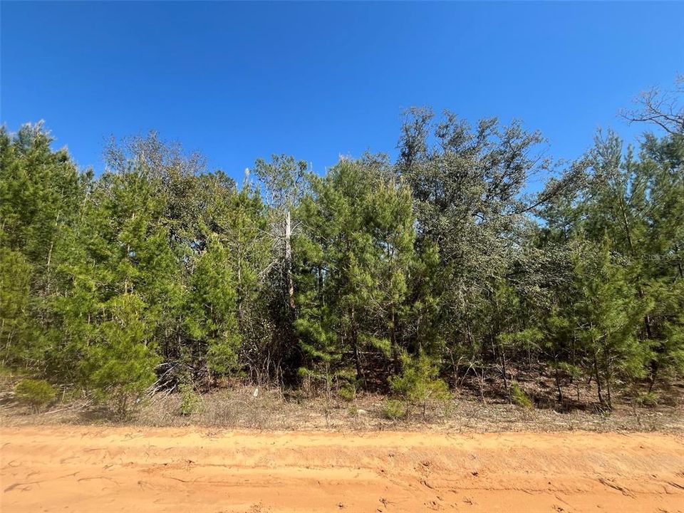 На продажу: $24,800 (1.08 acres)