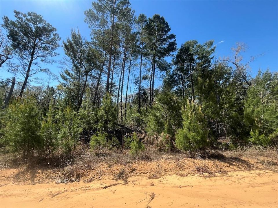 На продажу: $24,800 (1.08 acres)