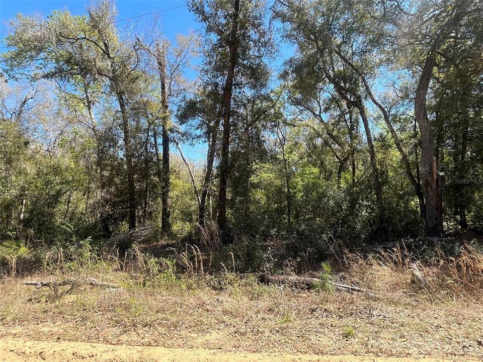 最近售出: $13,800 (0.77 acres)
