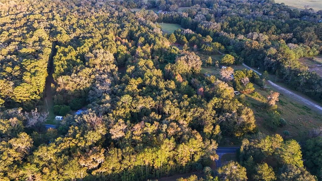 For Sale: $275,000 (10.00 acres)