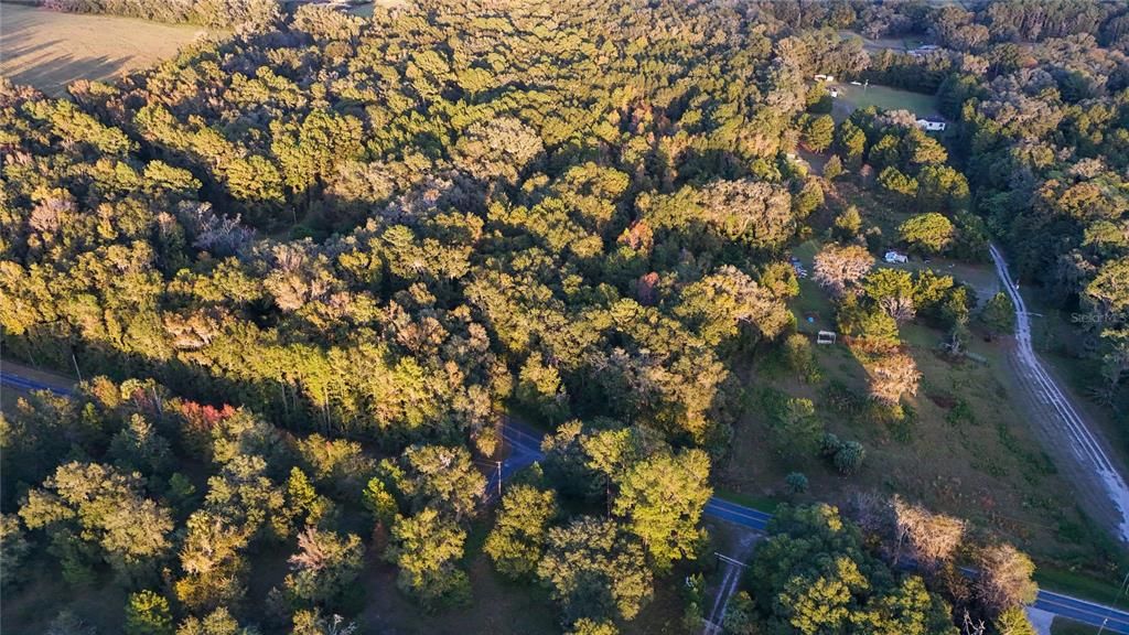 For Sale: $275,000 (10.00 acres)