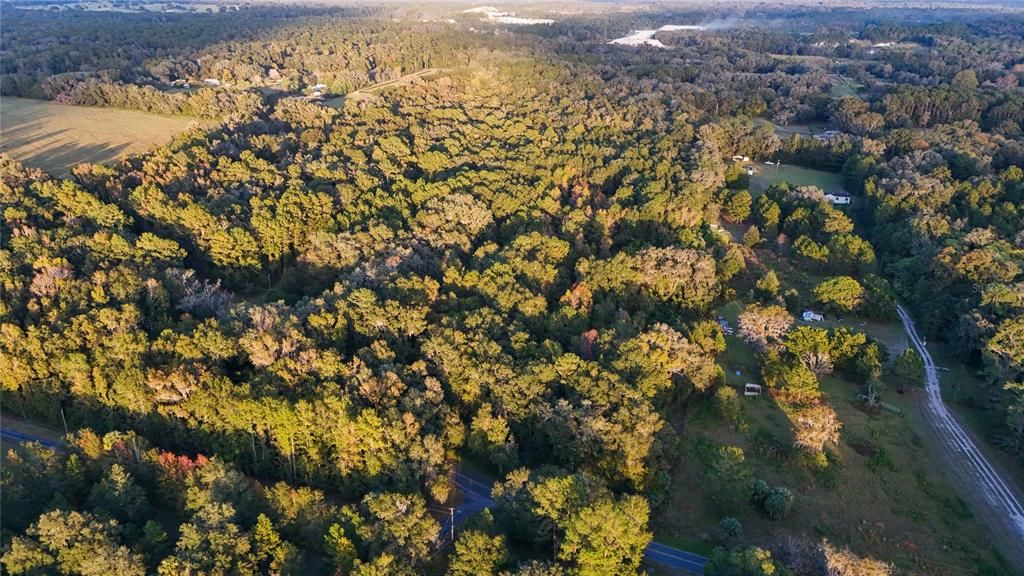 For Sale: $275,000 (10.00 acres)