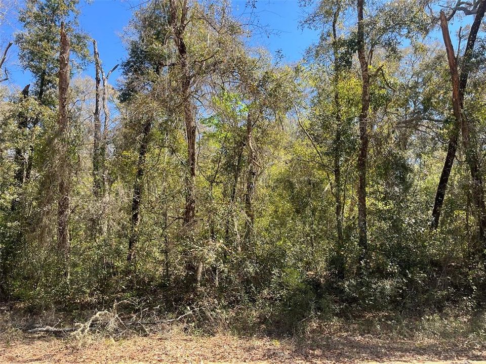 最近售出: $13,900 (0.98 acres)