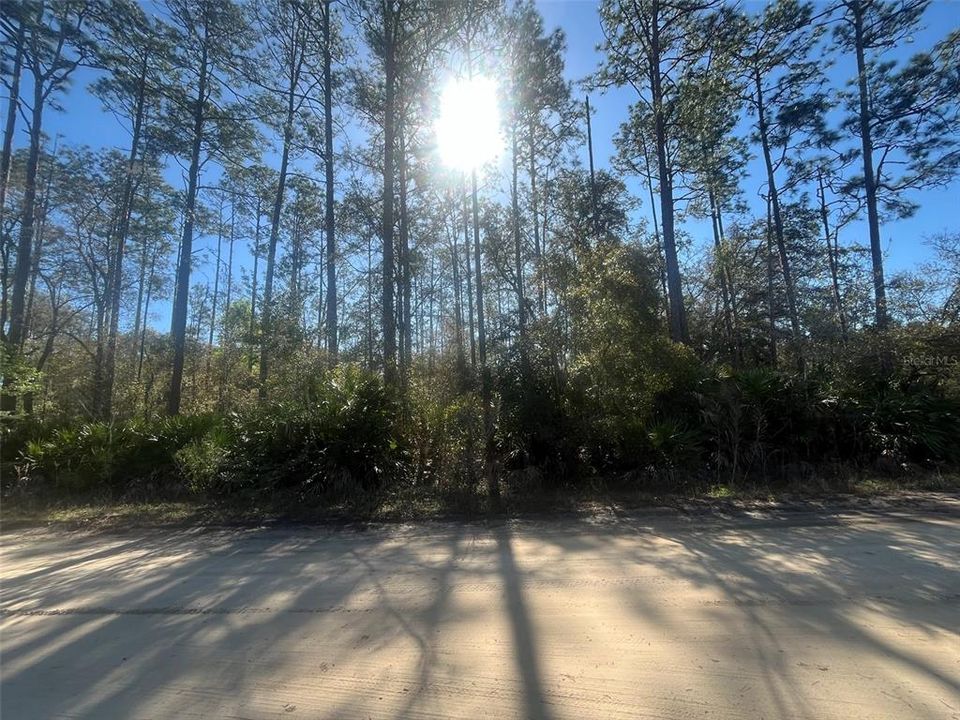 Недавно продано: $28,000 (1.46 acres)