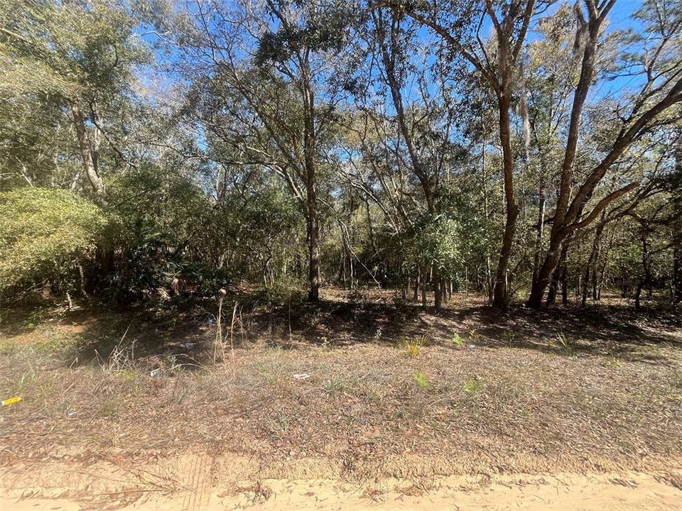 Recently Sold: $14,000 (0.65 acres)
