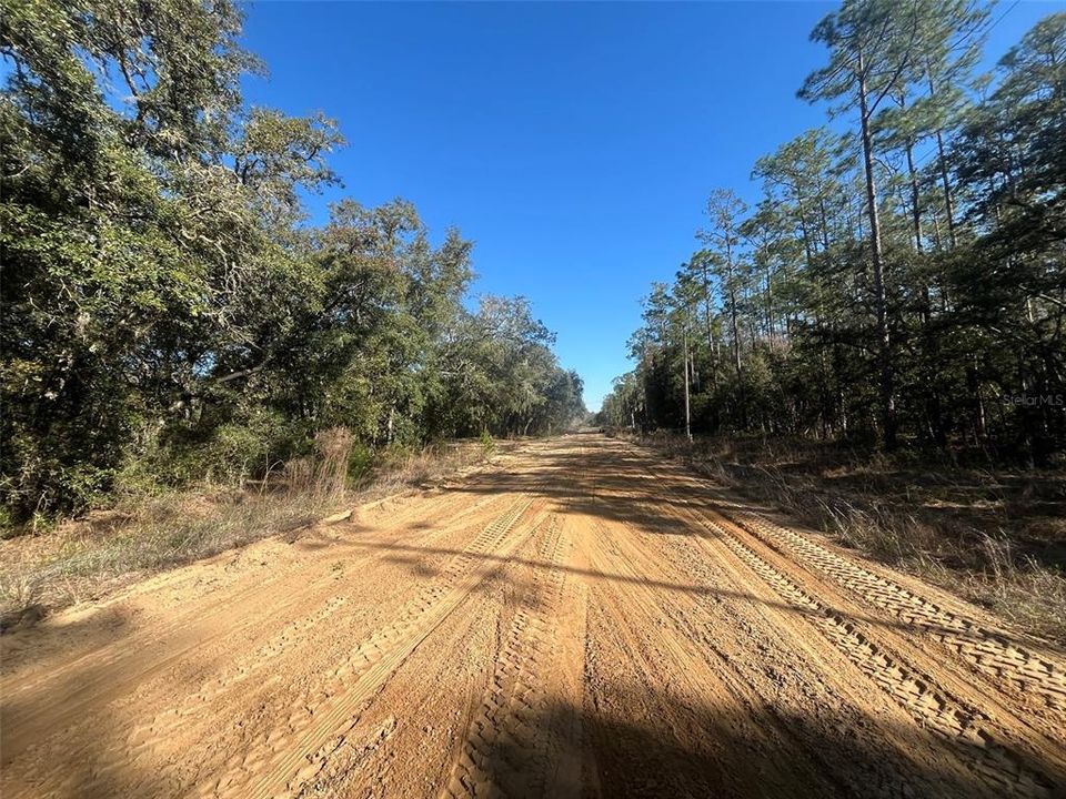 待售: $20,800 (0.98 acres)