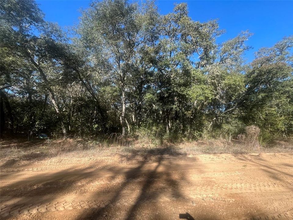 待售: $20,800 (0.98 acres)