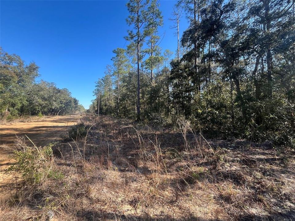 待售: $20,800 (0.98 acres)