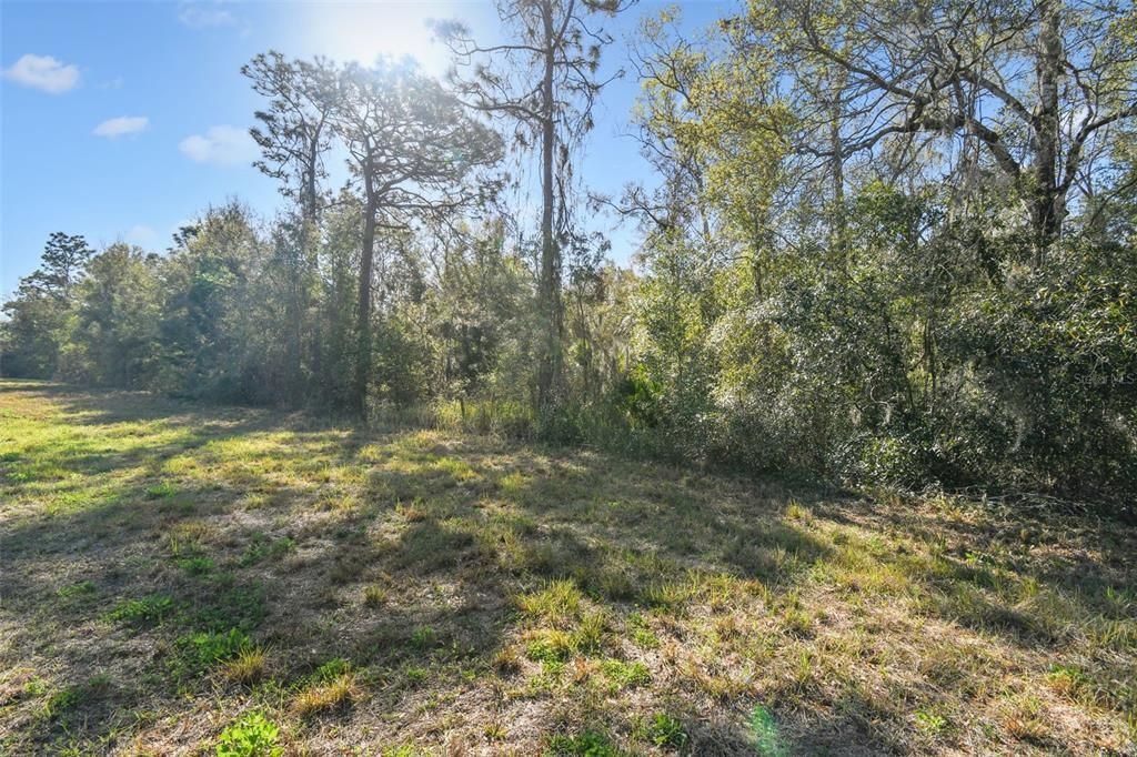 На продажу: $129,900 (3.00 acres)