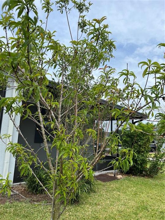 Под контрактом: $579,999 (5 спален, 3 ванн, 2638 Квадратных фут)