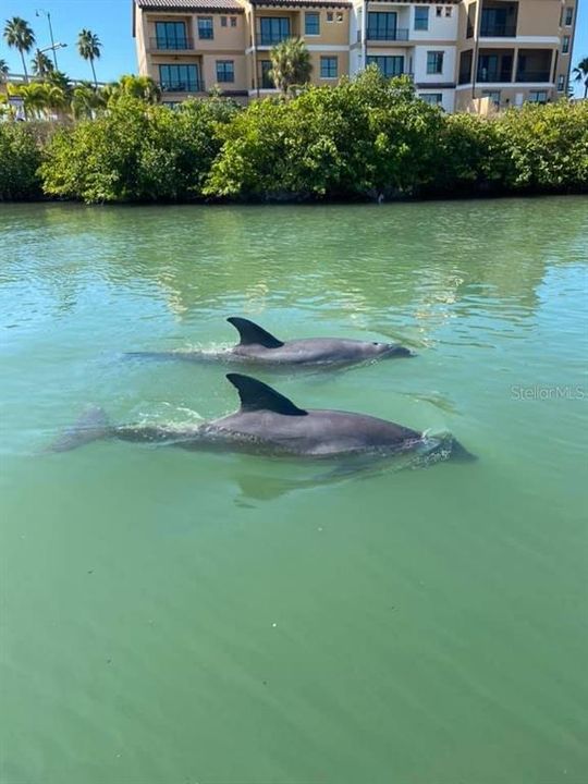 Active With Contract: $489,000 (3 beds, 2 baths, 1711 Square Feet)