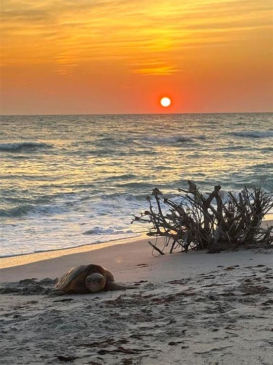 Active With Contract: $489,000 (3 beds, 2 baths, 1711 Square Feet)