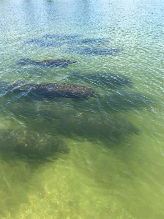 Active With Contract: $489,000 (3 beds, 2 baths, 1711 Square Feet)