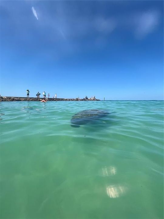 Active With Contract: $489,000 (3 beds, 2 baths, 1711 Square Feet)