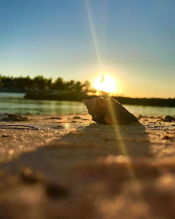 Active With Contract: $489,000 (3 beds, 2 baths, 1711 Square Feet)