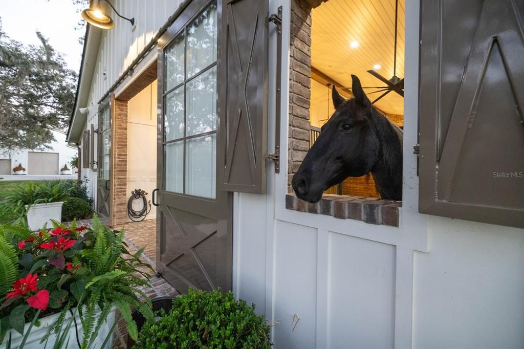 En Venta: $5,995,000 (3 camas, 2 baños, 3405 Pies cuadrados)