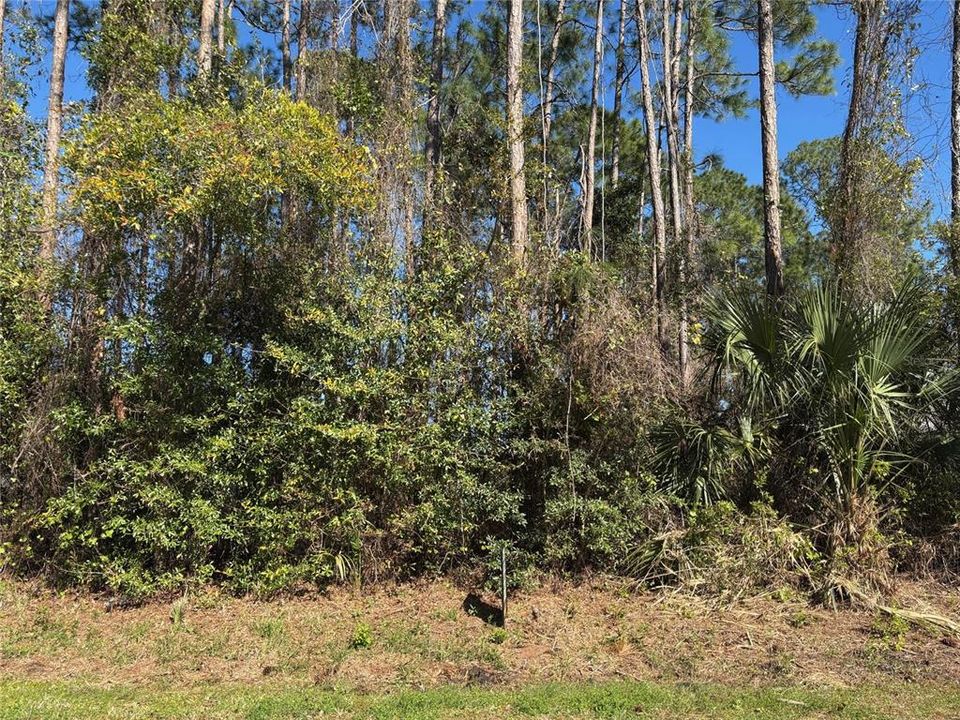 最近售出: $75,000 (0.23 acres)