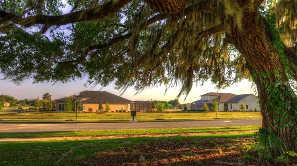 合同活跃: $1,401,230 (5 贝兹, 5 浴室, 6038 平方英尺)