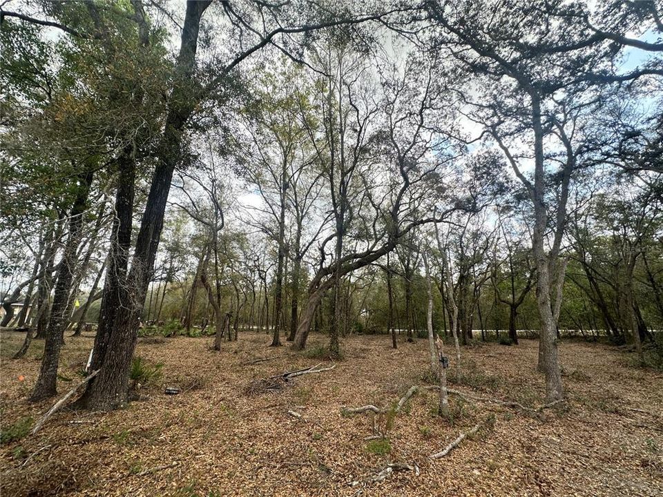 Recently Sold: $18,500 (0.64 acres)