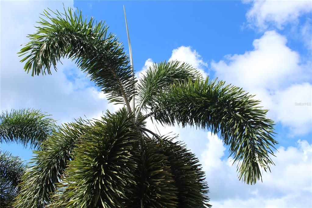 For Sale: $369,000 (3 beds, 2 baths, 1100 Square Feet)