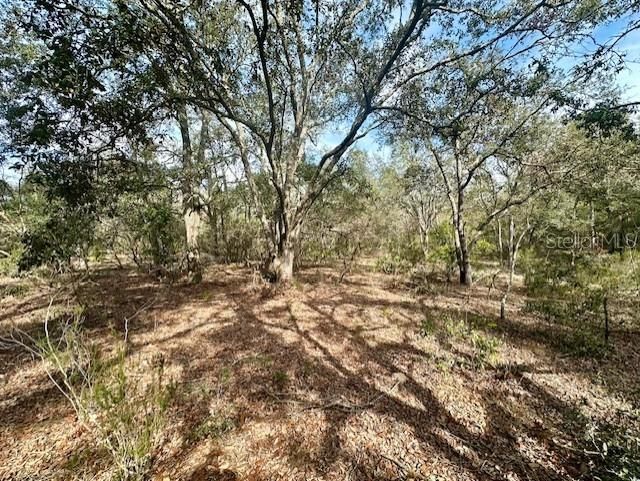 待售: $390,000 (40.00 acres)