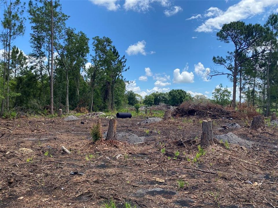 For Sale: $45,000 (0.96 acres)