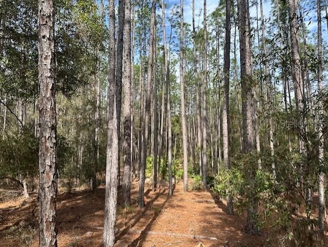 For Sale: $437,500 (40.00 acres)