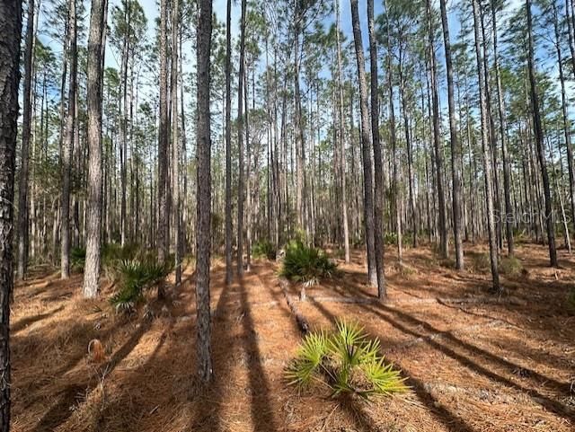 For Sale: $437,500 (40.00 acres)