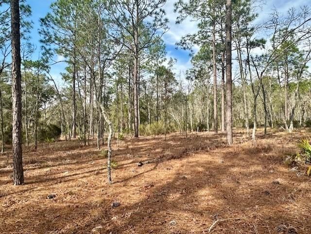 For Sale: $437,500 (40.00 acres)