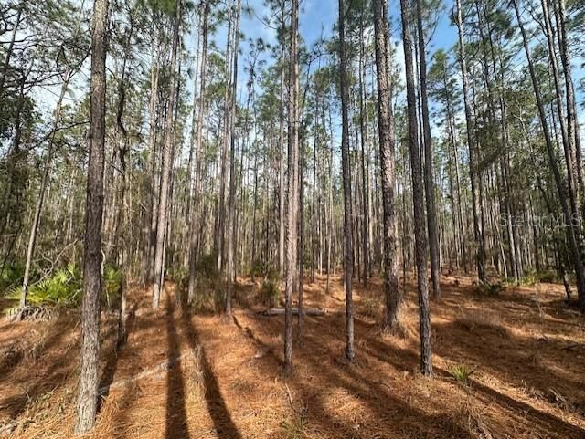 For Sale: $437,500 (40.00 acres)