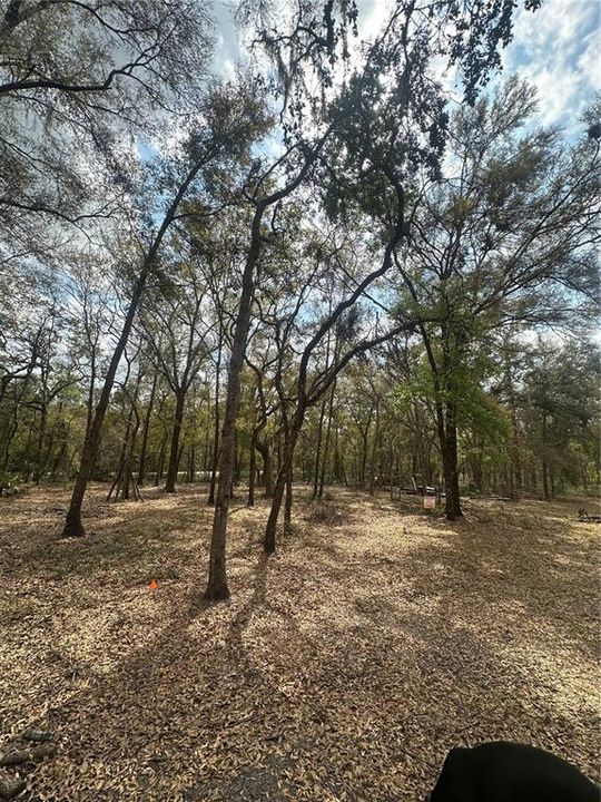 最近售出: $18,500 (0.64 acres)