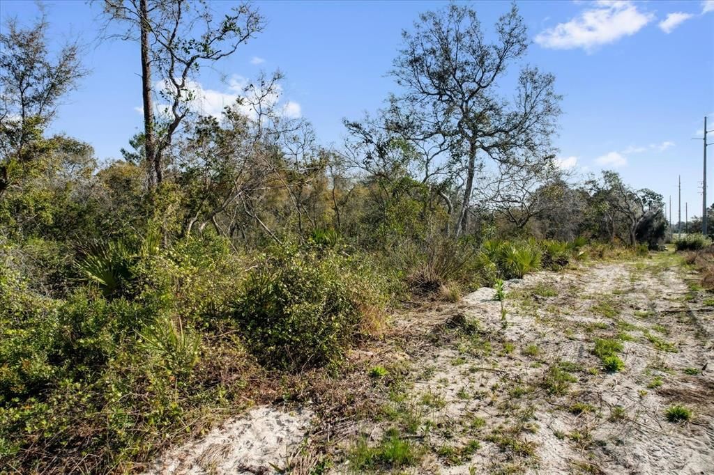 For Sale: $215,000 (0.54 acres)