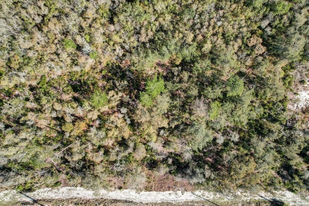 For Sale: $215,000 (0.54 acres)