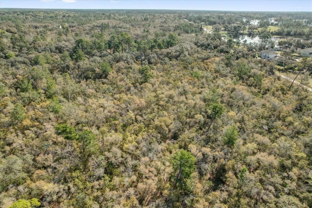 For Sale: $215,000 (0.54 acres)