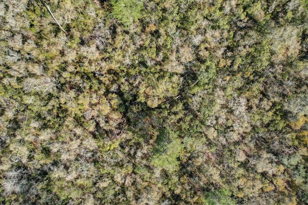 For Sale: $215,000 (0.54 acres)