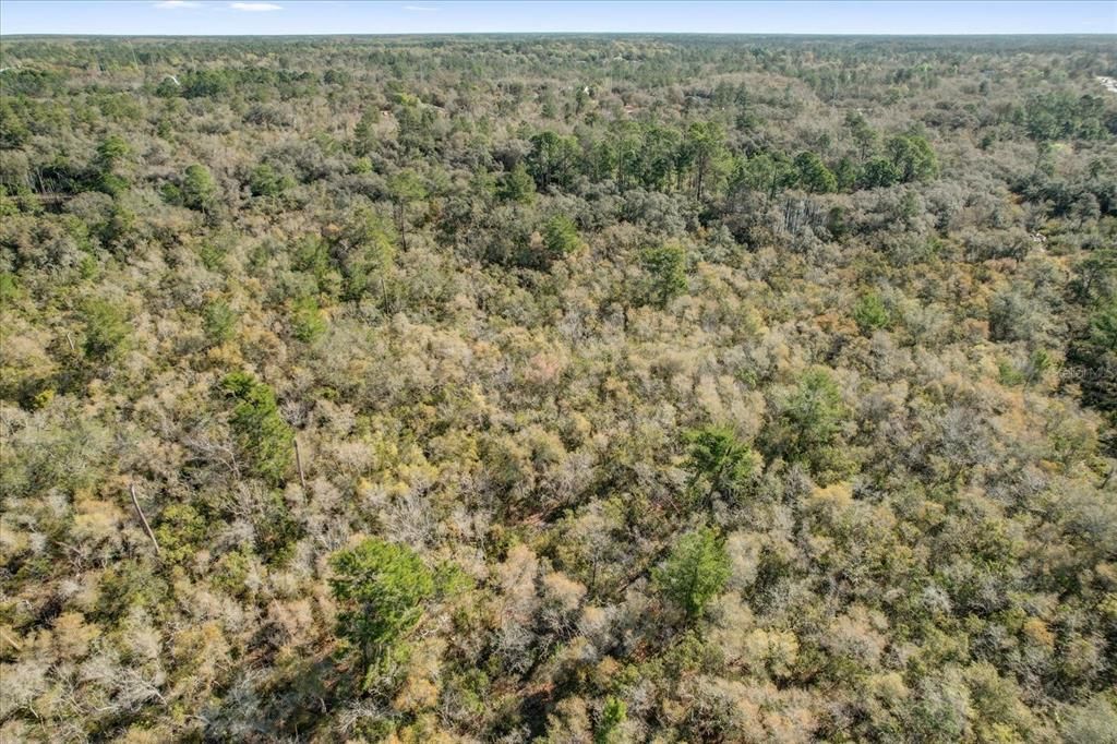 For Sale: $215,000 (0.54 acres)