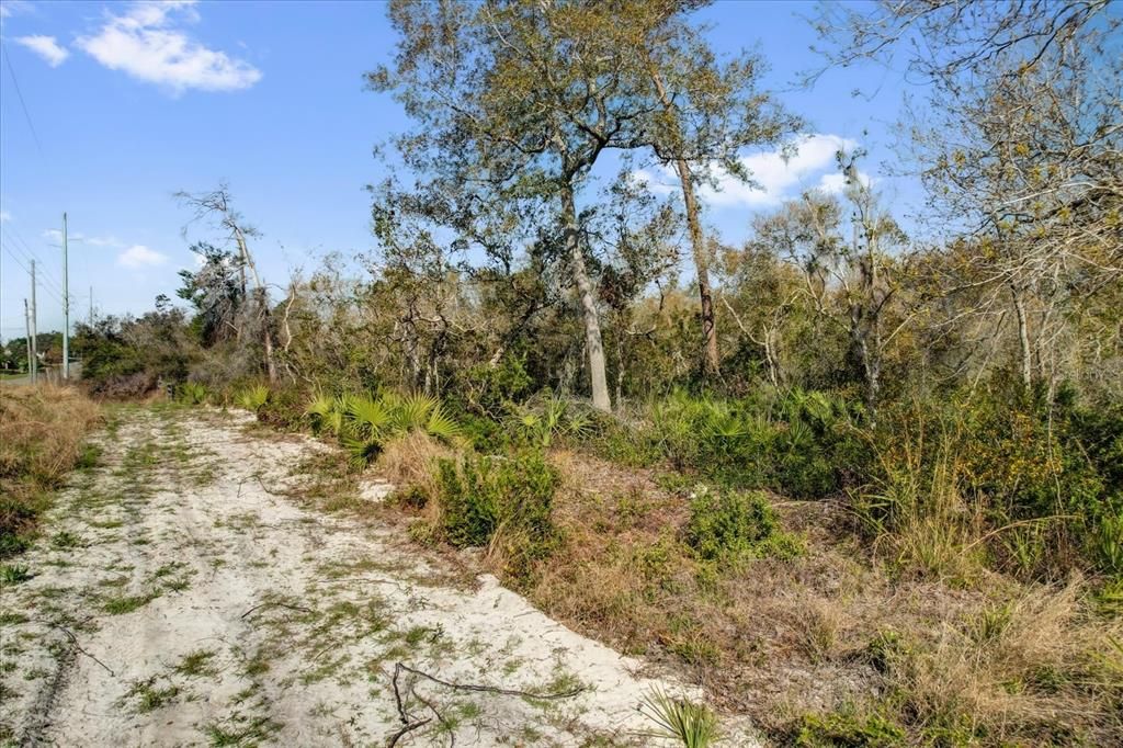 For Sale: $215,000 (0.54 acres)