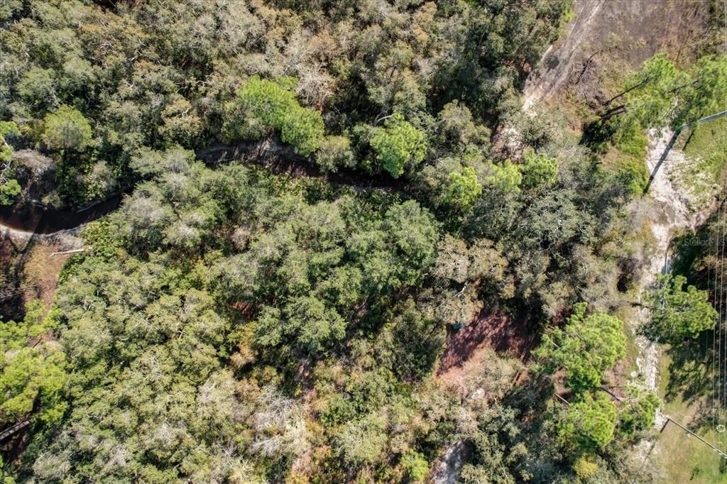 For Sale: $215,000 (0.54 acres)