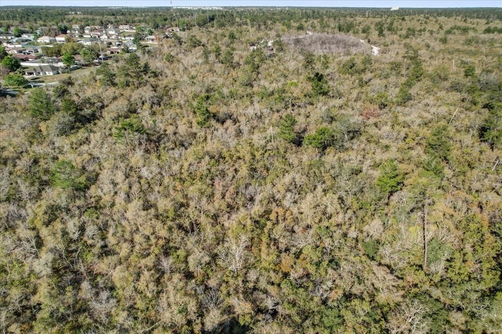 For Sale: $215,000 (0.54 acres)