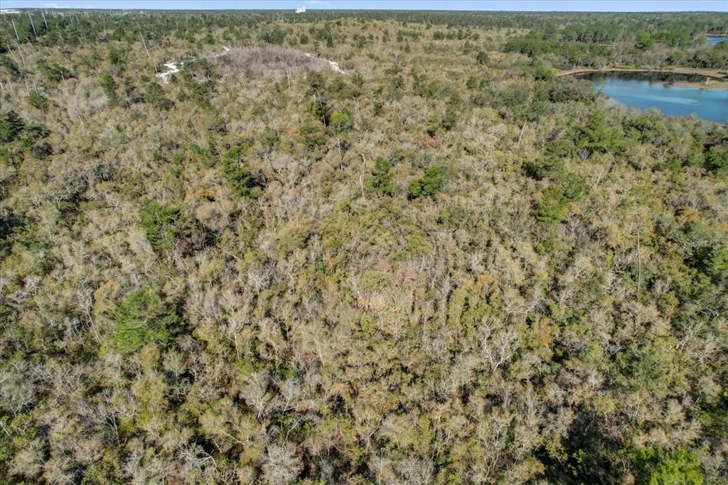 For Sale: $215,000 (0.54 acres)