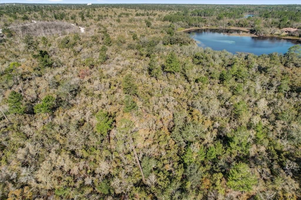 For Sale: $215,000 (0.54 acres)