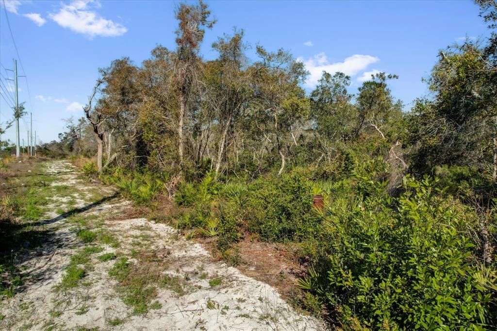 For Sale: $215,000 (0.54 acres)