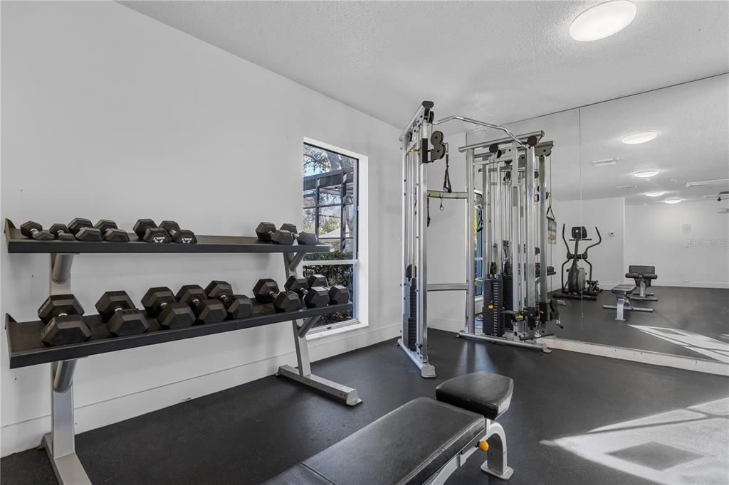 Gym