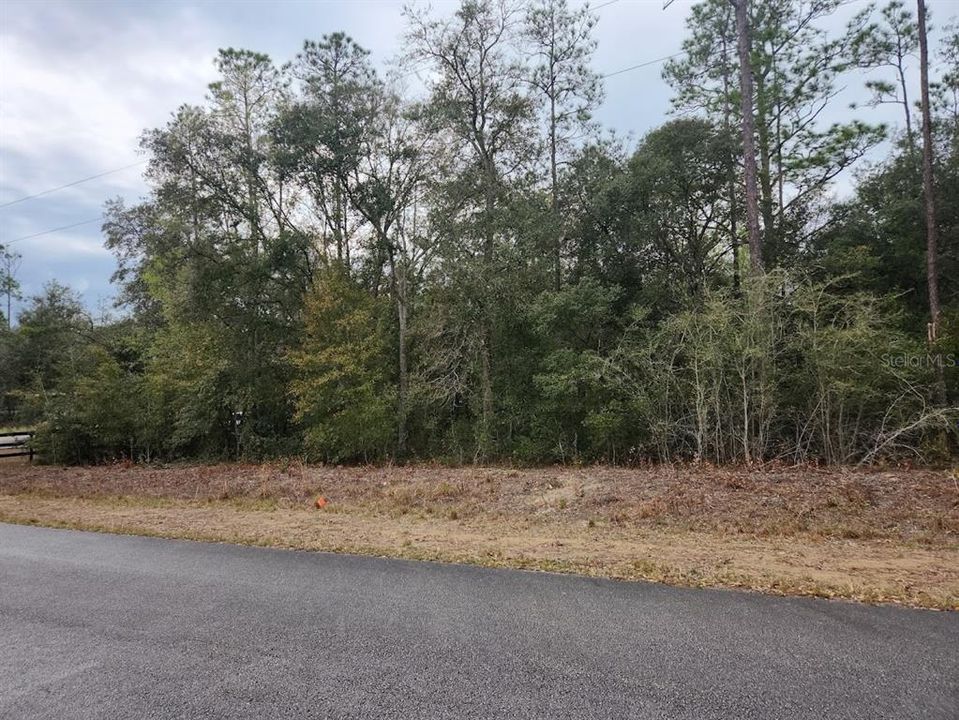 LOT 14