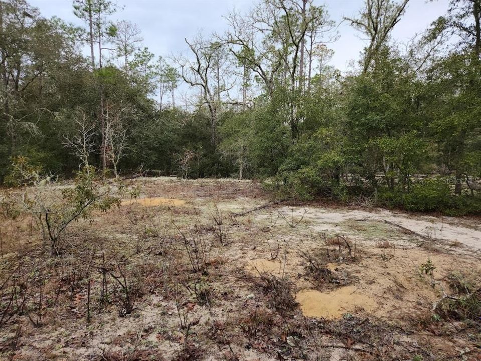 For Sale: $28,900 (1.01 acres)